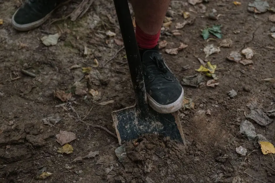 A person using a shovel to dig in the forest soil, surrounded by leaves.